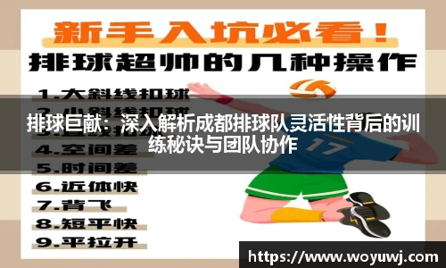 星空·综合体育官方网站