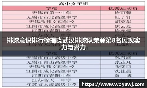 排球意识排行榜揭晓武汉排球队荣登第8名展现实力与潜力